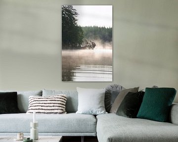 Dode boom, in de mist die tot in het water reikt bij zonsopgang
