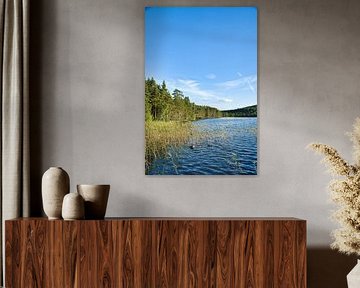 Meer in Zweden met witte wolken, blauw water en bomen aan de oever