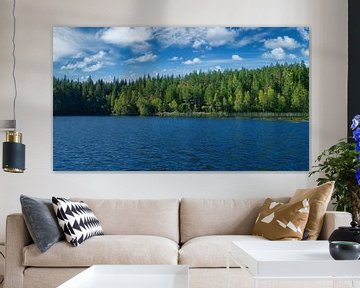 Lake in Sweden with white clouds, blue water and trees on the shore by Martin Köbsch