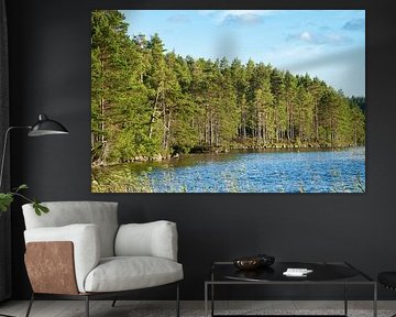 Meer in Zweden met witte wolken, blauw water en bomen aan de oever