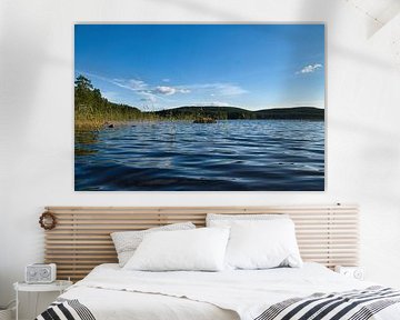 Meer in Zweden met witte wolken, blauw water en bomen aan de oever