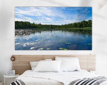 Meer in Zweden met waterlelies, witte wolken, blauw water en bomen aan de oever