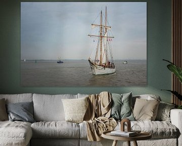 Etoile DelfSail 2024 van Jan Georg Meijer