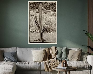 Grand cactus dans un paysage accidenté