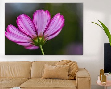 Pink flora by Elise de Vries