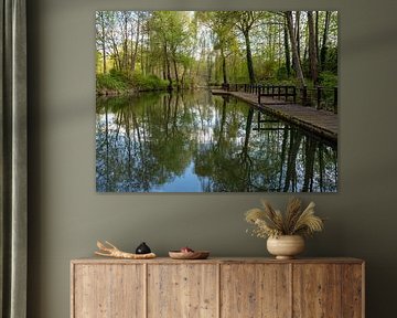 Paysage du Spreewald dans le Brandebourg en Allemagne