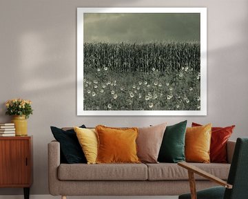 Sunflowers by Diederik De Mezel