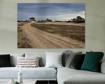 Landschap, Kootwijkerzand, Nederland van Imladris Images