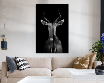 Antilope zwart-wit van Poster Art Shop