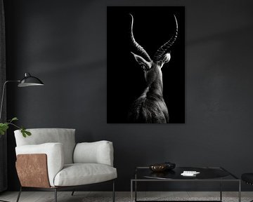 Antelope in profile by Poster Art Shop