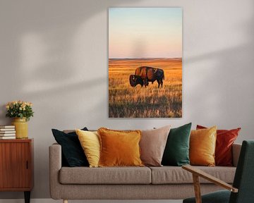 Bizons op de prairie van Poster Art Shop