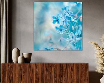 Blauwe bloemenpracht