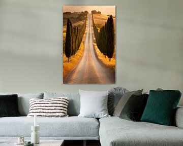 Cypreslaan van Poster Art Shop