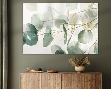 Eucalyptusbladeren van Poster Art Shop