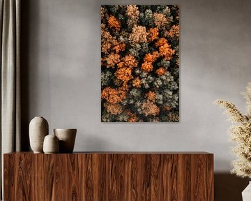 Couleurs de la forêt d'automne sur Poster Art Shop