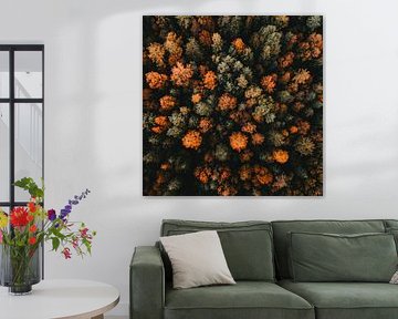 Forêt d'automne vue du ciel sur Poster Art Shop