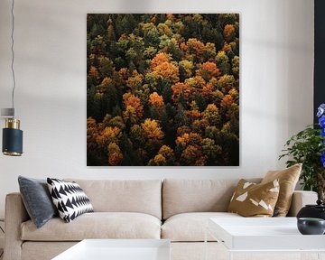 Autumn forest beauty by Poster Art Shop