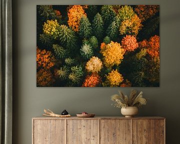 Autumn forest blaze of colour by Poster Art Shop