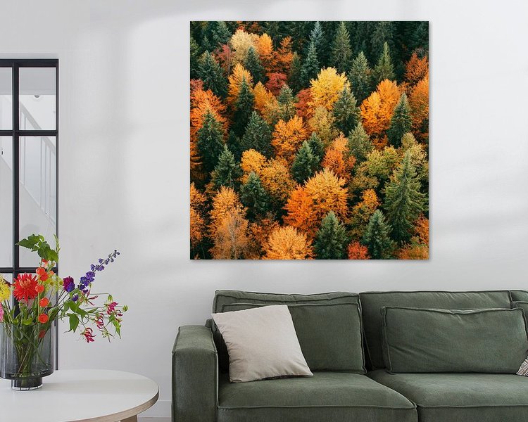 Aperçu de la chambre