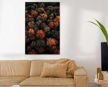 Cimes des arbres en automne sur Poster Art Shop