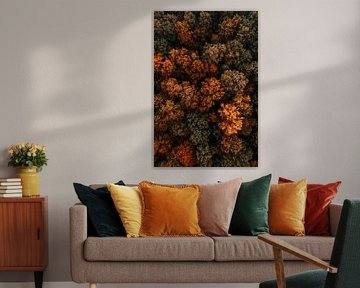 Autumn forest view by Poster Art Shop