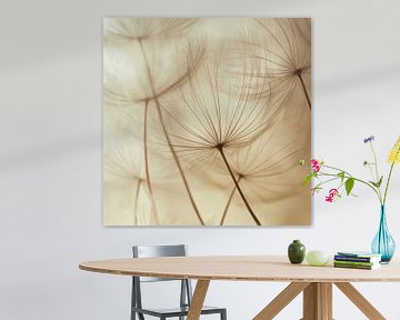 Paardenbloemen in het licht van Poster Art Shop