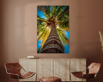 Palmboom in de lucht van Poster Art Shop