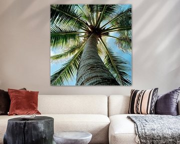 Palmboom in de lucht van Poster Art Shop