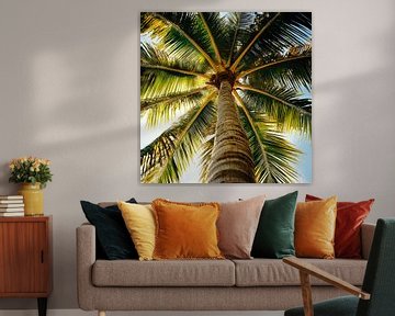 Palmboom in het zonlicht van Poster Art Shop