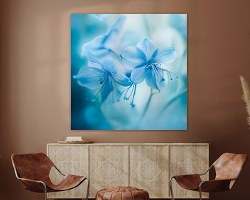 Fleur bleue sur Poster Art Shop