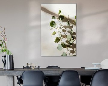 Eucalyptus schaduw van Poster Art Shop