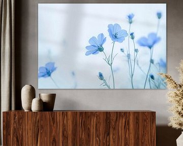 Blauwe bloemenpracht