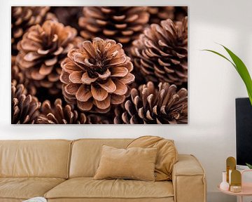 Pine cone pattern by Poster Art Shop
