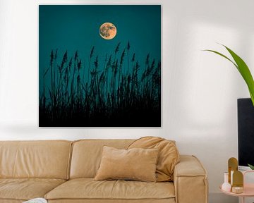 Full moon over grass by Poster Art Shop