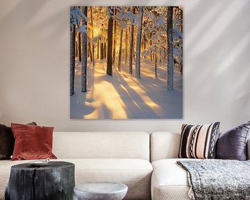 Winterbos lichtshow van Poster Art Shop