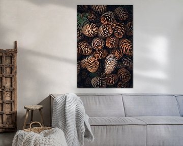 Pine cone variety by Poster Art Shop