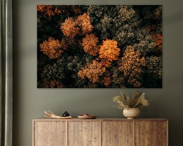 Autumnal forest by Poster Art Shop