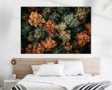 Autumnal treetop by Poster Art Shop