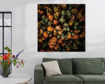 Forêt d'automne sur Poster Art Shop