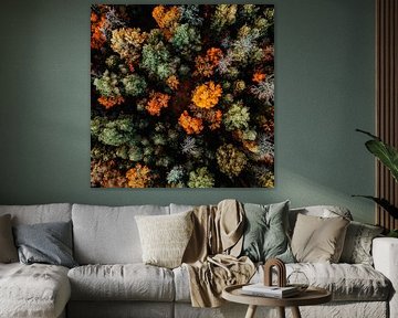 Forêt d'automne vue du ciel sur Poster Art Shop