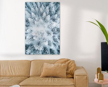 Winter boszicht van Poster Art Shop