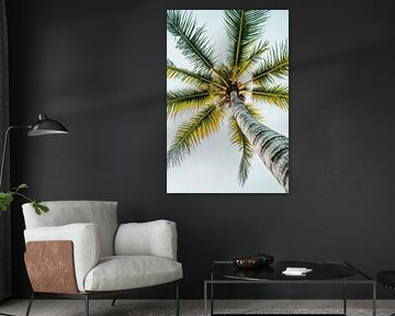 Palmier dans le ciel sur Poster Art Shop