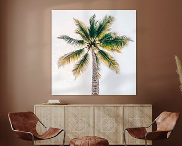 Palmier dans le ciel sur Poster Art Shop