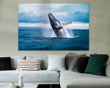 Buckelwal Sprung von Poster Art Shop
