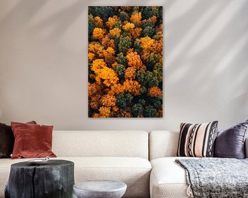 Autumnal treetops by Poster Art Shop