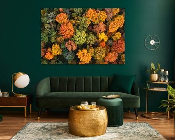 Herfst bos uitbarsting van kleur van Poster Art Shop