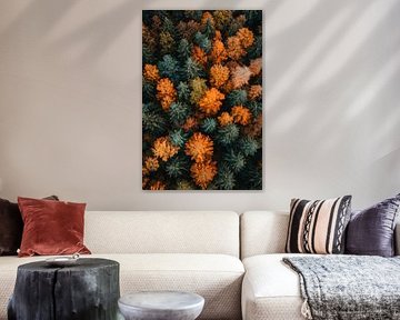 Forêt d'automne vue du ciel sur Poster Art Shop