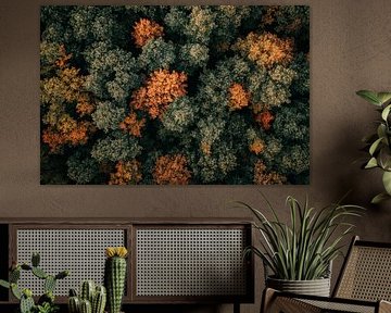 Vue de la forêt d'automne sur Poster Art Shop