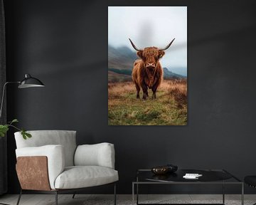 Hoogland koeienweide van Poster Art Shop