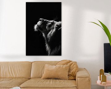 Leeuw in het licht van Poster Art Shop